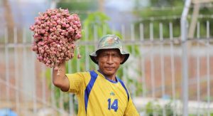 Menyoal Kealpaan Pemerintah dalam Mengatur Harga Bawang Merah