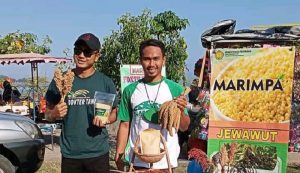 Giat Promosikan Pangan Lokal, Salmin: Sorgum dan Jawawut Harus Dilestarikan