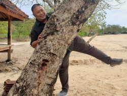 Pengamat: Pilkada NTB 2024 Kurang Greget!