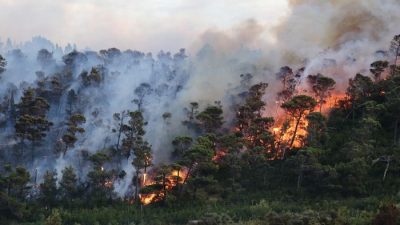 BMKG: Waspada Potensi Kebakaran Hutan dan Lahan di Wilayah NTB