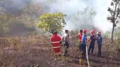 Kebakaran Hutan di Perbukitan Balai Persemaian Mandalika Berhasil Dipadamkan