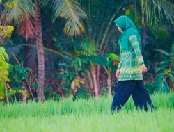 Calon Gubernur NTB Sitti Rohmi Djalilah Ajak Masyarakat Kembali Fokus ke Sektor Pertanian