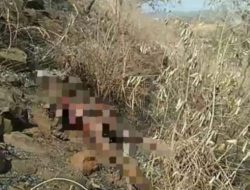 Penemuan Mayat di Gunung Nandus Lombok Tengah, Polisi Langsung Bergerak 
