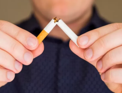 Bea Cukai Mataram Amankan 62.778 Batang Rokok Ilegal di Lombok Utara 