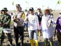 Dukung Pelestarian Lingkungan, Pjs Bupati Sumbawa Tanam Pohon Mangrove di Pulau Nanga Sira