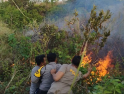 Kebakaran Lahan Seluas 3 Hektar di Kawasan Gunung Rinjani Berhasil Dipadamkan