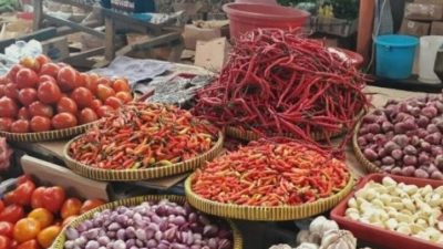 Lonjakan Harga Cabai di Lombok: Pemda KLU Gencarkan Pemanfaatan Pekarangan dan Operasi Pasar Murah