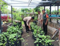 TNI-Polri Dukung Program Asta Cita Presiden Prabowo dengan Pemanfaatan Pekarangan Bergizi di Lombok Tengah